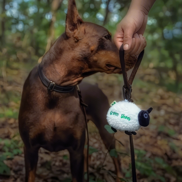Green Sheep Dog Poop Bags Dispenser (15 pcs) White