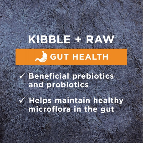 Instinct Raw Boost Grain-Free kibble Gut Health Recipe Dog Dry Food 4lb