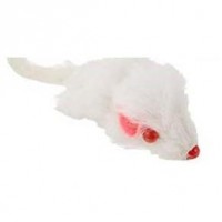CattyMan Mouse White