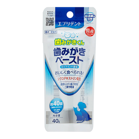 Everydent Tooth Paste 40g