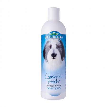 Bio-Groom Shampoo Groom N Fresh For Dogs 12oz