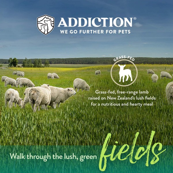 Addiction Dog Food Air-Dried Herbed Lamb & Potatoes Grain Free Recipe 2lbs