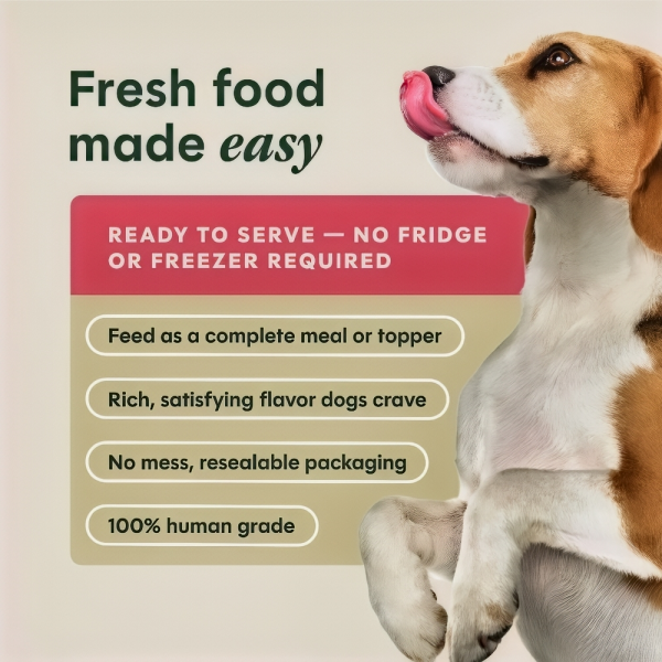 Instinct Dog Wet Crafted Meals Pork & Wild-Caught Salmon 11oz (2 packs)