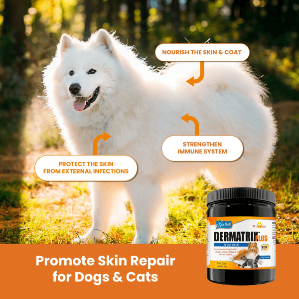 Kala Health Dermatrix Plus  For Healthy Skin & Shiny Coat For Dogs & Cats 240g