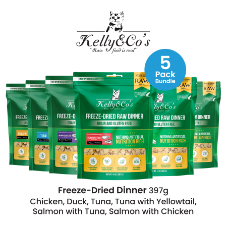 Kelly & Co's Cat Raw Dinner w/Mixed Fruits & Veg 397g (5 Pack Bundle)
