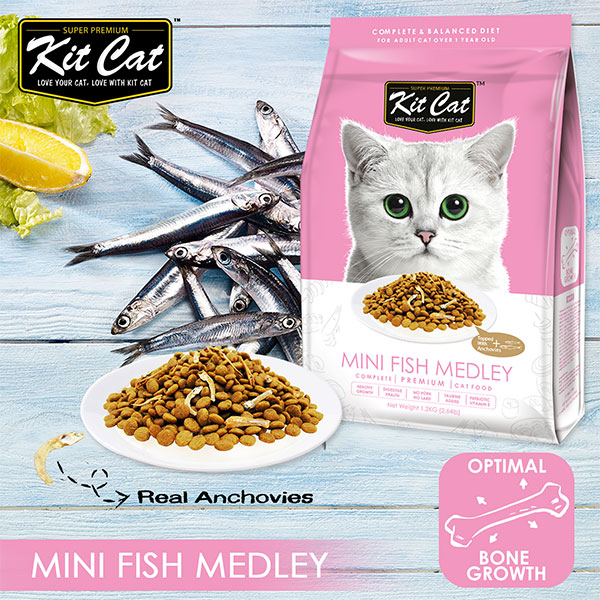 Kit Cat Premium Dry Food Mini Fish Medley 1.2kg