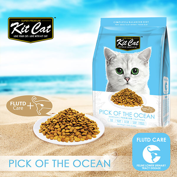 Kit Cat Premium Dry Food Pick Of The Ocean 5kg