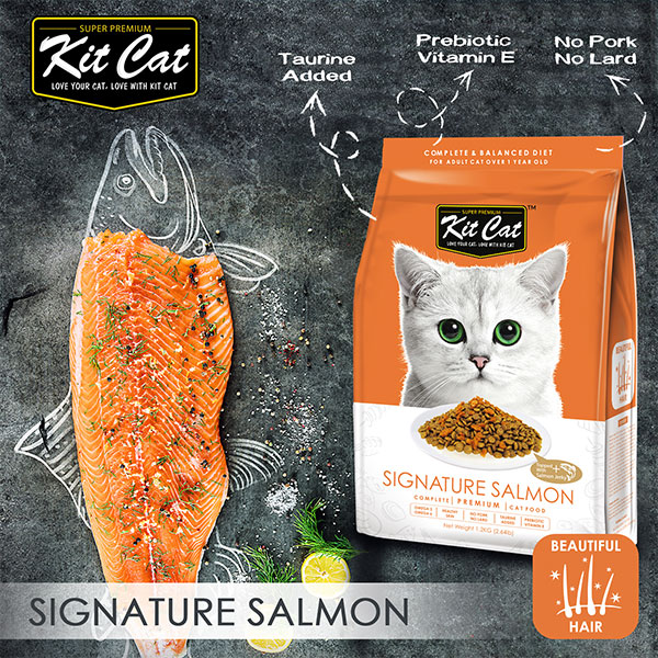 Kit Cat Premium Dry Food Signature Salmon 5kg