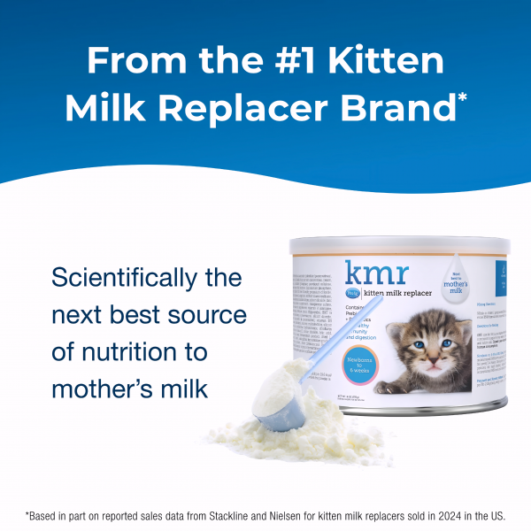 KMR Kitten Milk Replacer Powder 6oz