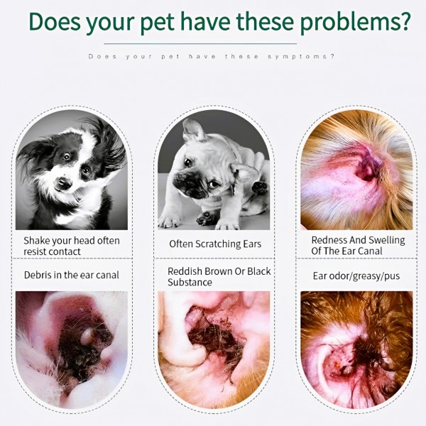 Kojima Pet Ear Care Water 120ml