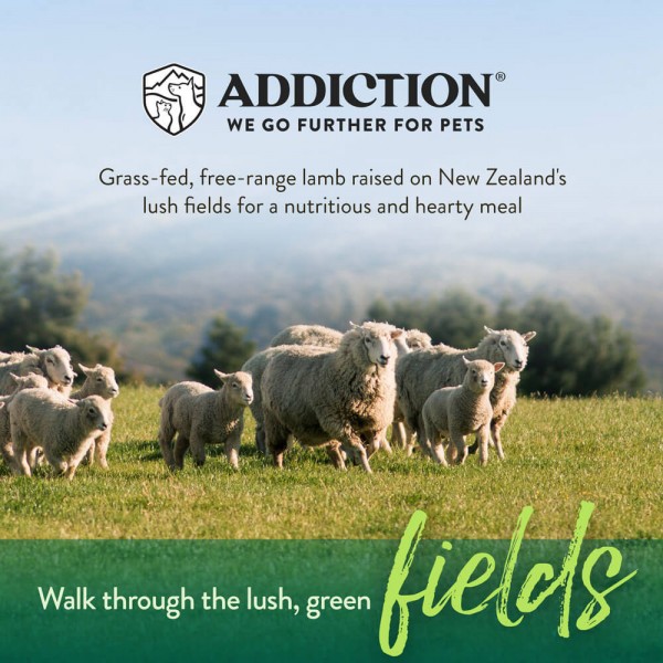 Addiction Dog Food Grain Free Le Lamb for Digestive Health 33lbs