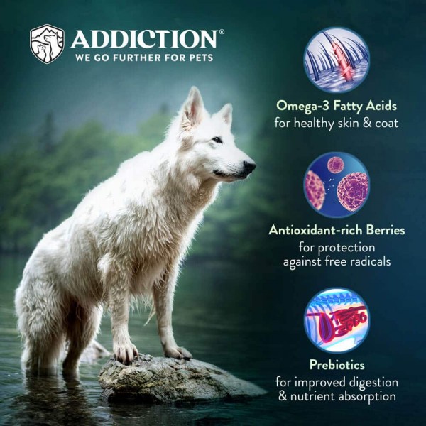 Addiction Dog Food Grain Free Le Lamb for Digestive Health 4lbs
