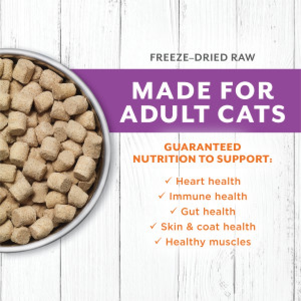 Instinct Raw Longevity Freeze-Dried Rabbit Meals Cat Dry Food 9.5oz