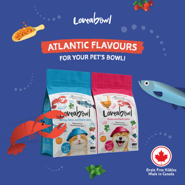 Loveabowl Cat Dry Food Grain-Free Chicken 9.07kg