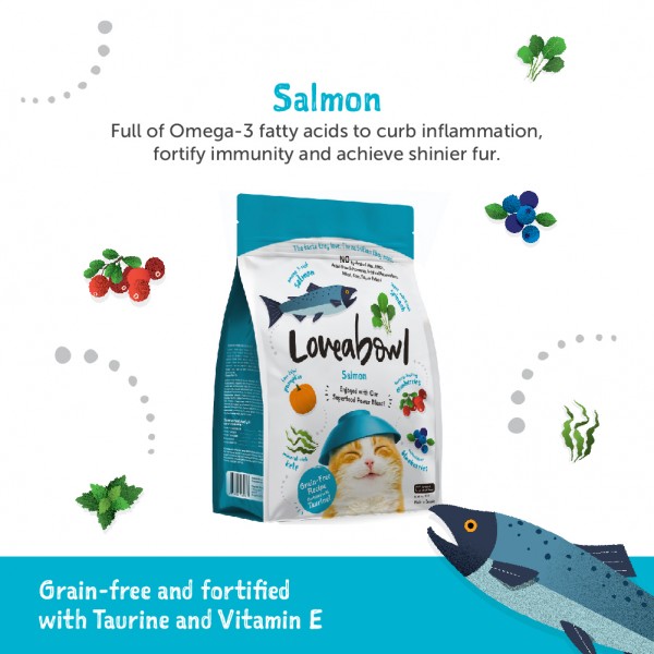 Loveabowl Cat Dry Food Grain-Free Salmon 9.07kg