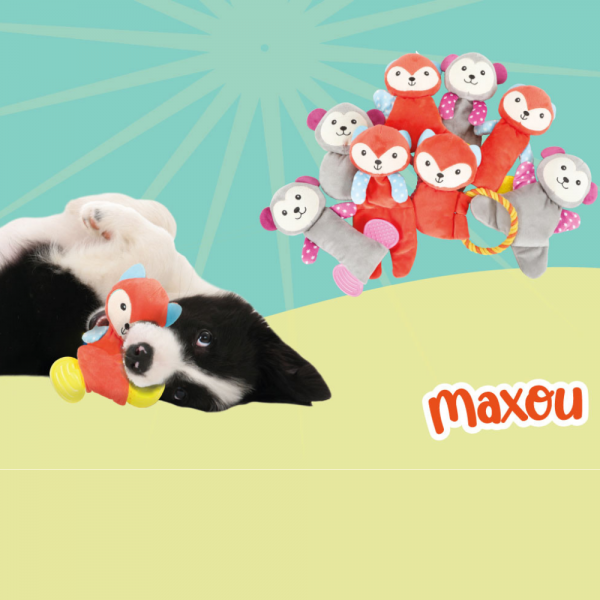 Zolux Dog Toy Maxou Plush Teddy Dental Grey