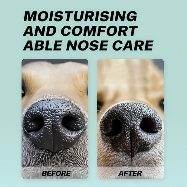 Rubeku  Wipes Nose Care for Dogs (50 sheets) x 2 boxes