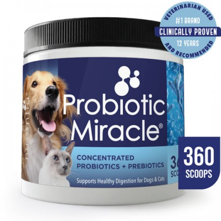 Probiotic Miracle Concentrated Probiotics & Prebiotics  For Cats & Dogs 360 Scoops