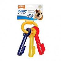 Nylabone Teething Keys Small Puppy Chew Toy