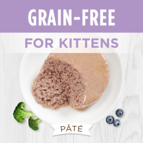 Instinct Original Grain-Free Pate Recipe With Real Chicken for Kitten 5.5oz (6 cans)