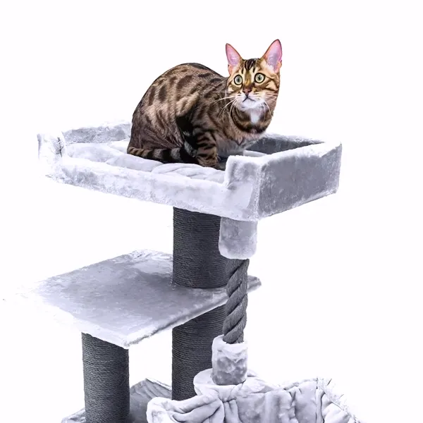 Petrebels Cat Lucky Bastards Parklane 131 Grey