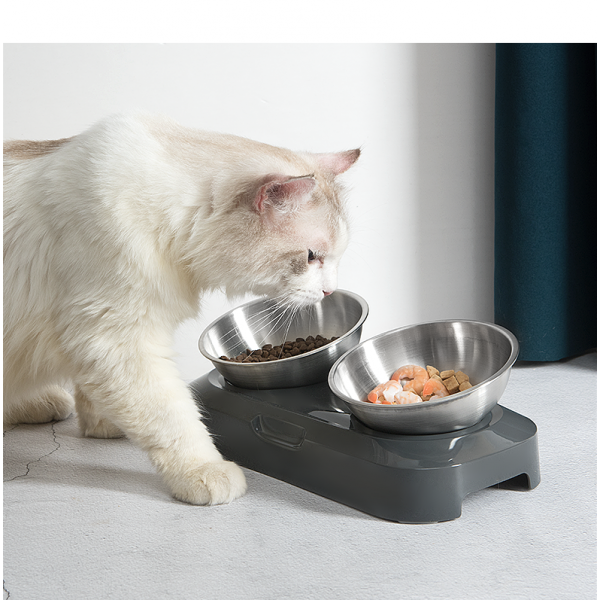 Plouffe 15° Adjustable Stainless Steel Double Pet Bowl