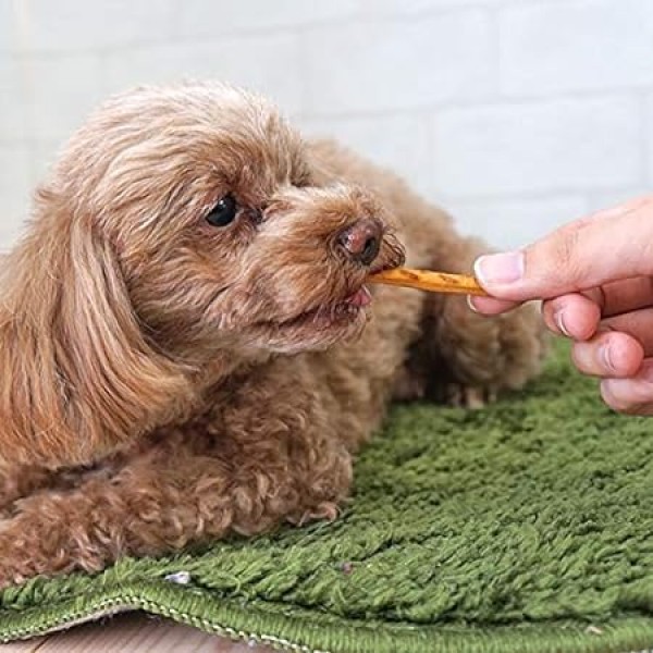 Smack Dog Treat Pretzel Plus Dental Care Stick Yogurt 30g x3