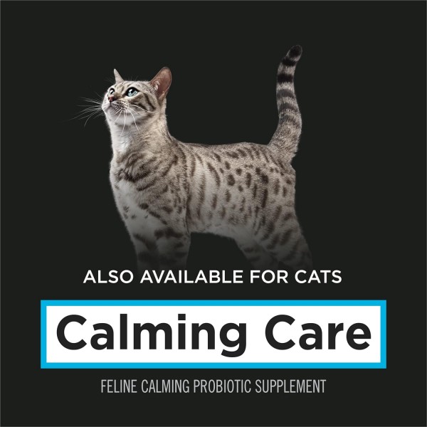 ProPlan Cat Supplement Calming Care Probiotic 30g