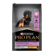 ProPlan Dog Dry Food Puppy & Mother Performance Starter 12kg