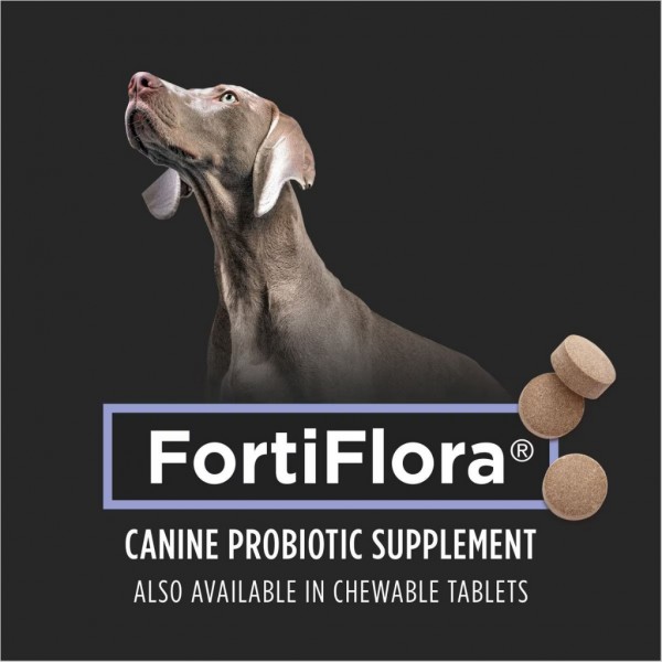ProPlan Dog Supplement FortiFlora Probiotic 30g