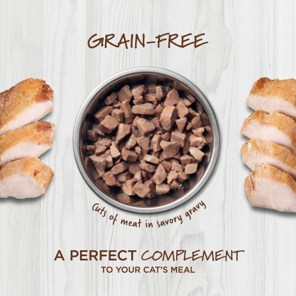 Instinct Healthy Cravings Grain-Free Real Rabbit Recipe in Savory Gravy Cat Wet Food Topper 3oz