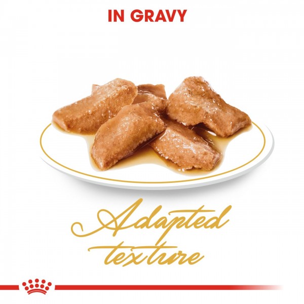 Royal Canin Cat Pouch  in Gravy Maine Coon Adult 85g
