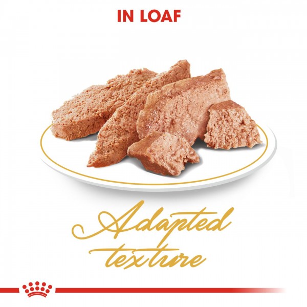 Royal Canin Cat Pouch  in Pate Persian Adult 85g x12