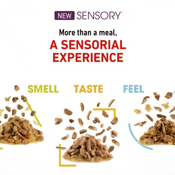 Royal Canin Cat Pouch Sensory Jelly Feel 85g