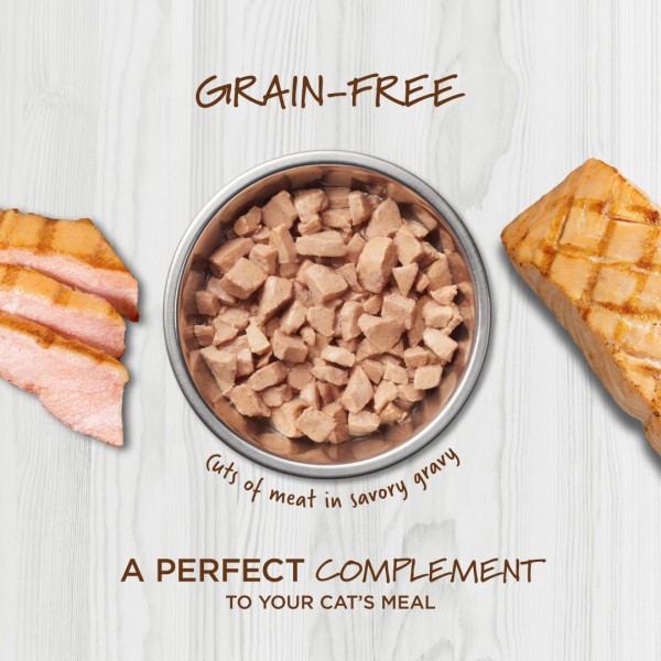 Instinct Healthy Cravings Grain-Free Real Salmon Recipe in Savory Gravy Cat Wet Food Topper 3oz (6 Packs)