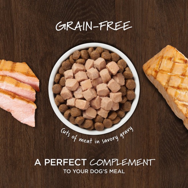 Instinct Healthy Cravings Grain-Free Real Salmon Recipe in Savory Gravy Dog Wet Food Topper 3oz