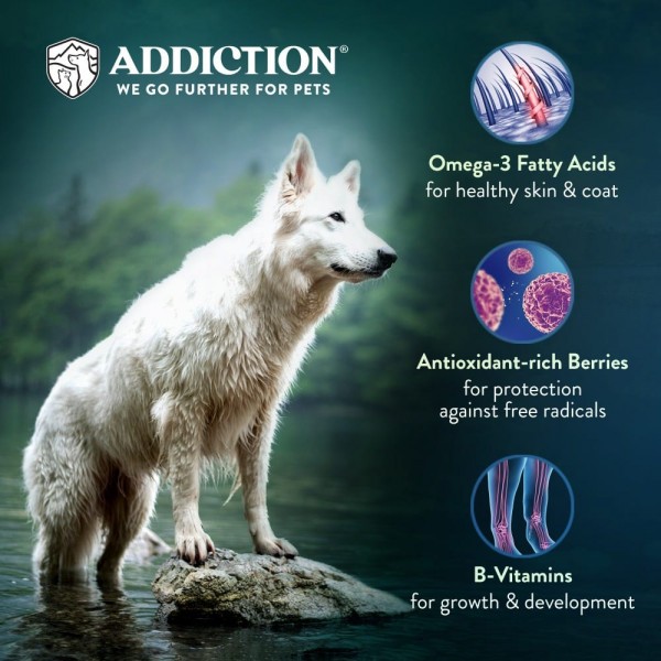 Addiction Dog Food Grain Free Salmon Bleu for Skin & Coat 33lbs