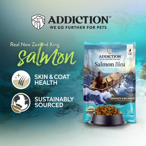 Addiction Cat Food Grain Free Salmon Bleu for Skin & Coat 4lbs