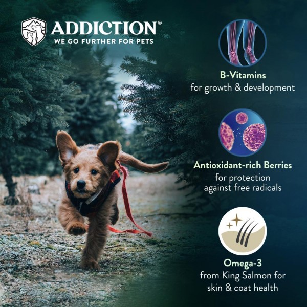 Addiction Dog Food Grain Free Salmon Bleu Puppy for Skin & Coat 4lbs