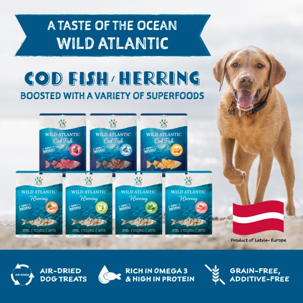 Singapaw Dog Treats Atlantic Cod Fish With Blueberry 70g (2 packs)