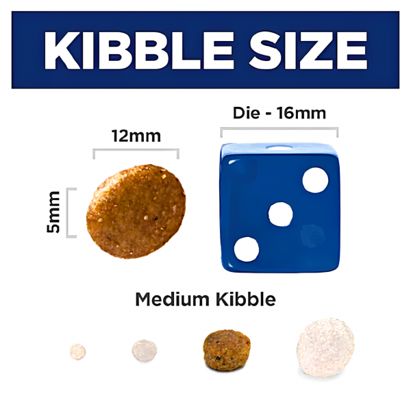 Science Diet Canine Salmon & Rice Adult 4lbs