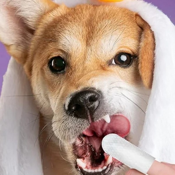 Rubeku  Wipes Teeth Finger Wipes (50 pcs) x 2 boxes