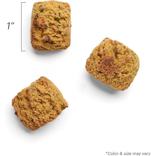 The Honest Kitchen Dog Treat Turkey Broth & Pumpkin Bites 8oz