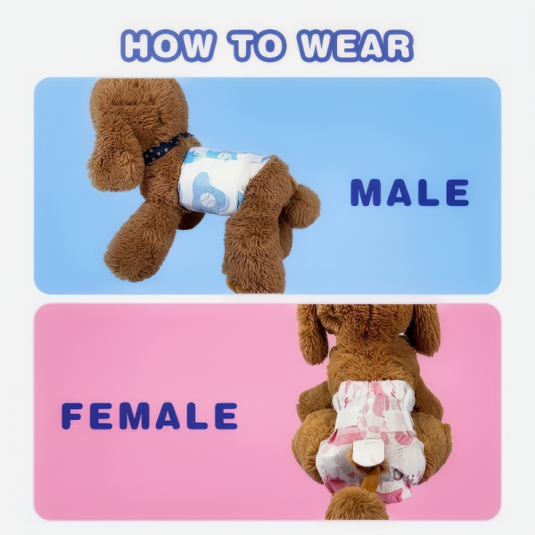 Universal Pet Diapers Male Large (10 pcs)