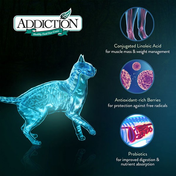 Addiction Cat Food Grain Free Viva La Venison for Complete & Balance 4lbs
