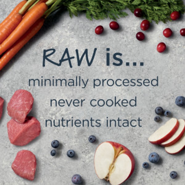Instinct Raw Boost Kibble + Raw Freeze Dried Whole Grain Lamb and Oatmeal Recipe Dog Dry Food 4.5lb