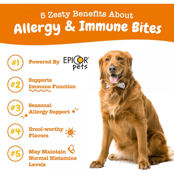 Zesty Paws Dog Aller-Immune Bites Salmon 90 Soft Chews