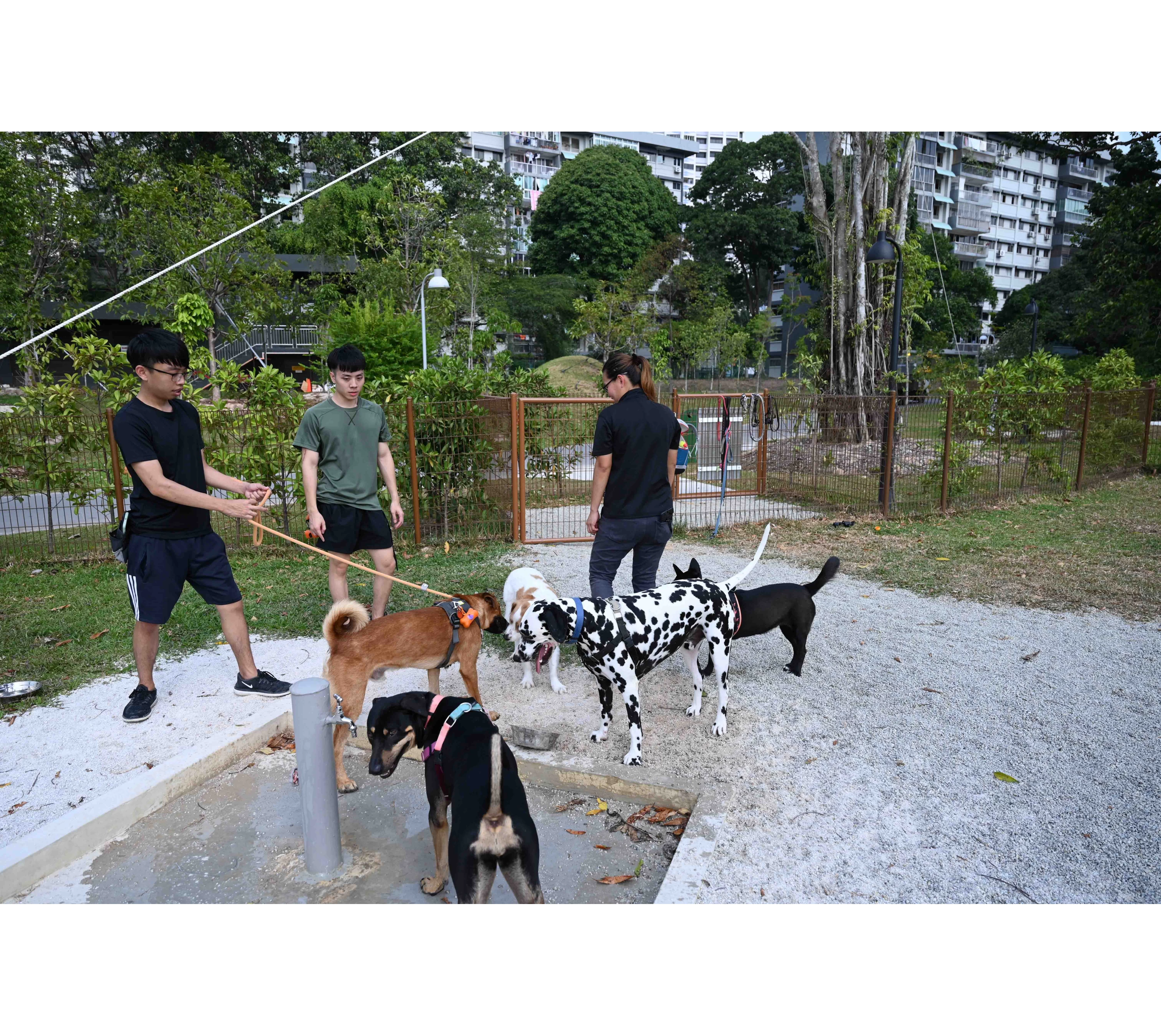 10 Dog-Friendly Places to Visit in Singapore