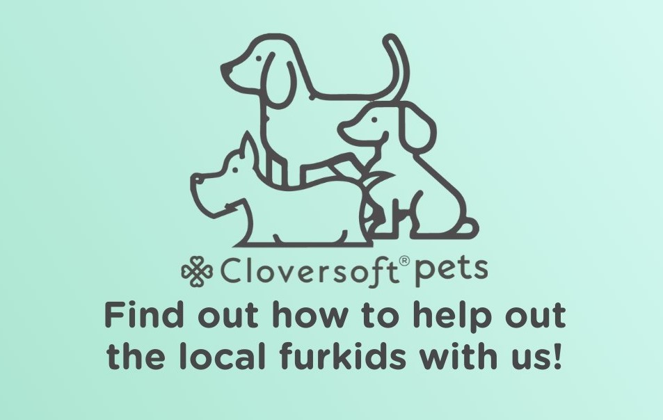 Cloversoft pets