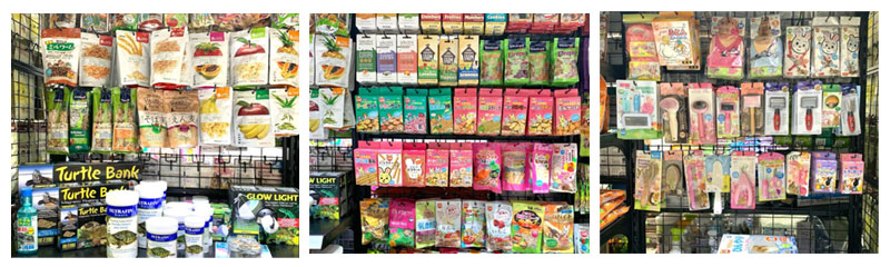 pet master @ eastpoint mall small animals